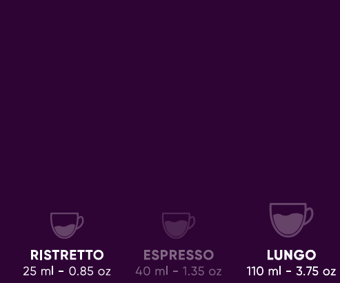 Caribbean Gold – Rum Barrel Aged Coffee Capsules - Specialty Coffee, Intensity 8 - Image 7