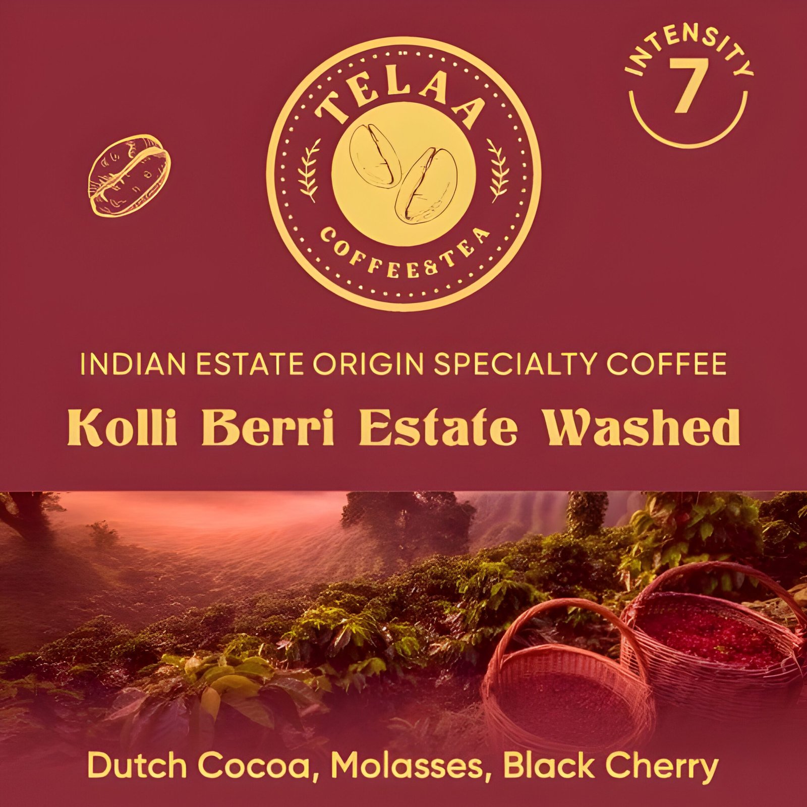 Kolli Berri Estate Washed Coffee Capsules | Indian Specialty Single-Estate Coffee | Aluminium Nespresso Original Line Compatible Pods - Image 4