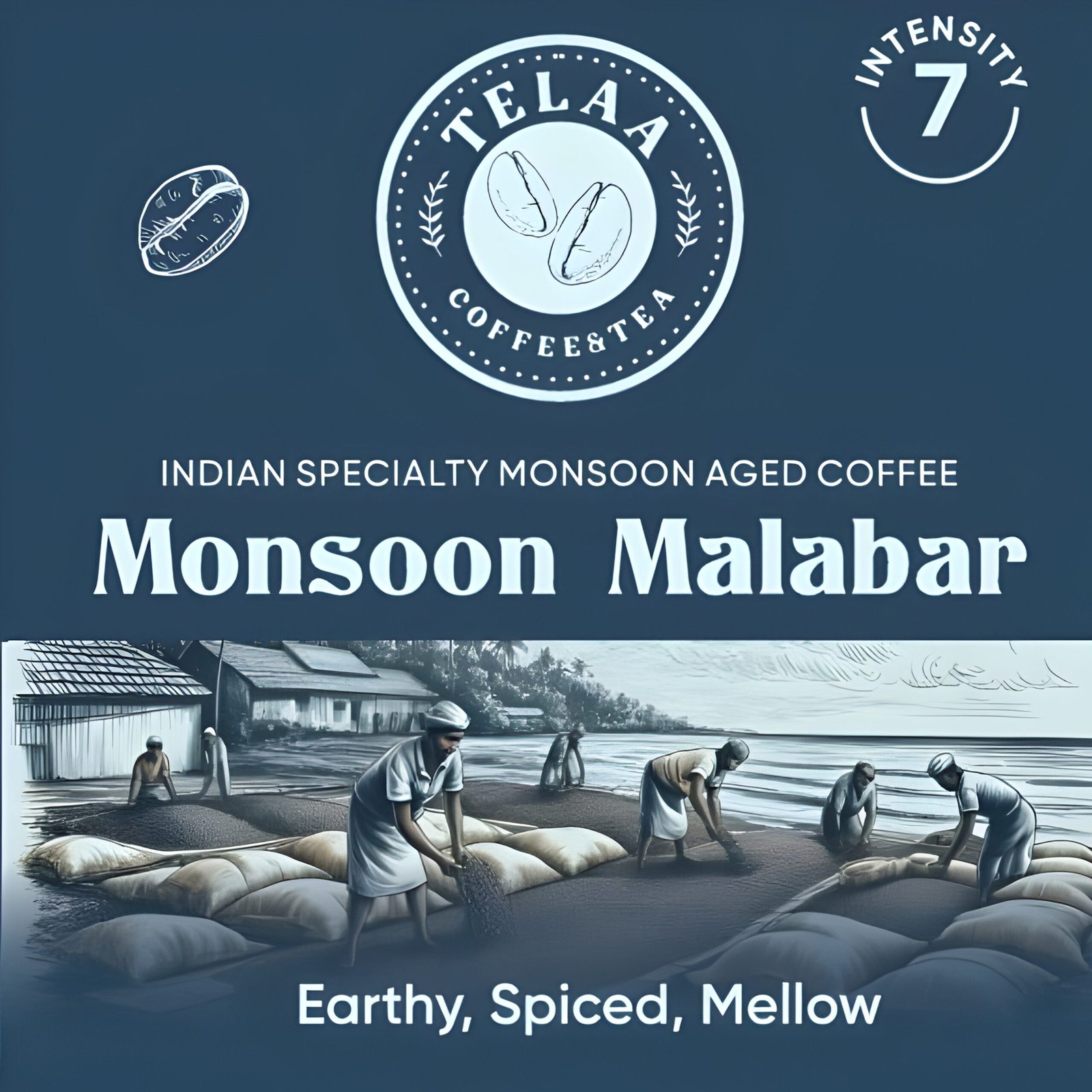 Telaa Monsoon Malabar Coffee Capsules | Indian Specialty Monsoon Aged Coffee | Aluminium Nespresso Original Line Compatible Pods - Image 3