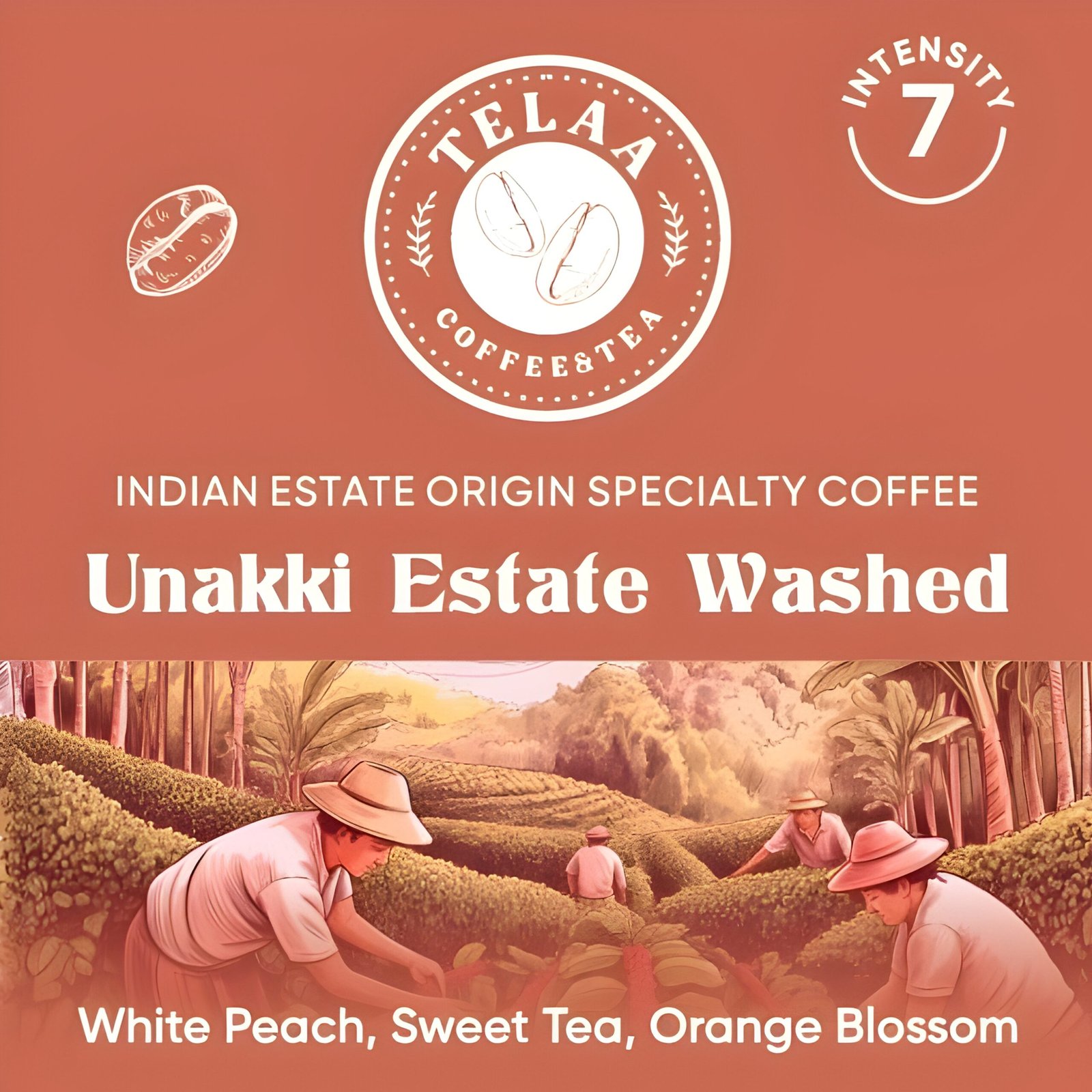 Telaa Unakki Estate Washed Coffee Capsules | Indian Estate Origin Specialty Coffee | Aluminium Nespresso Original Line Compatible Pods - Image 4
