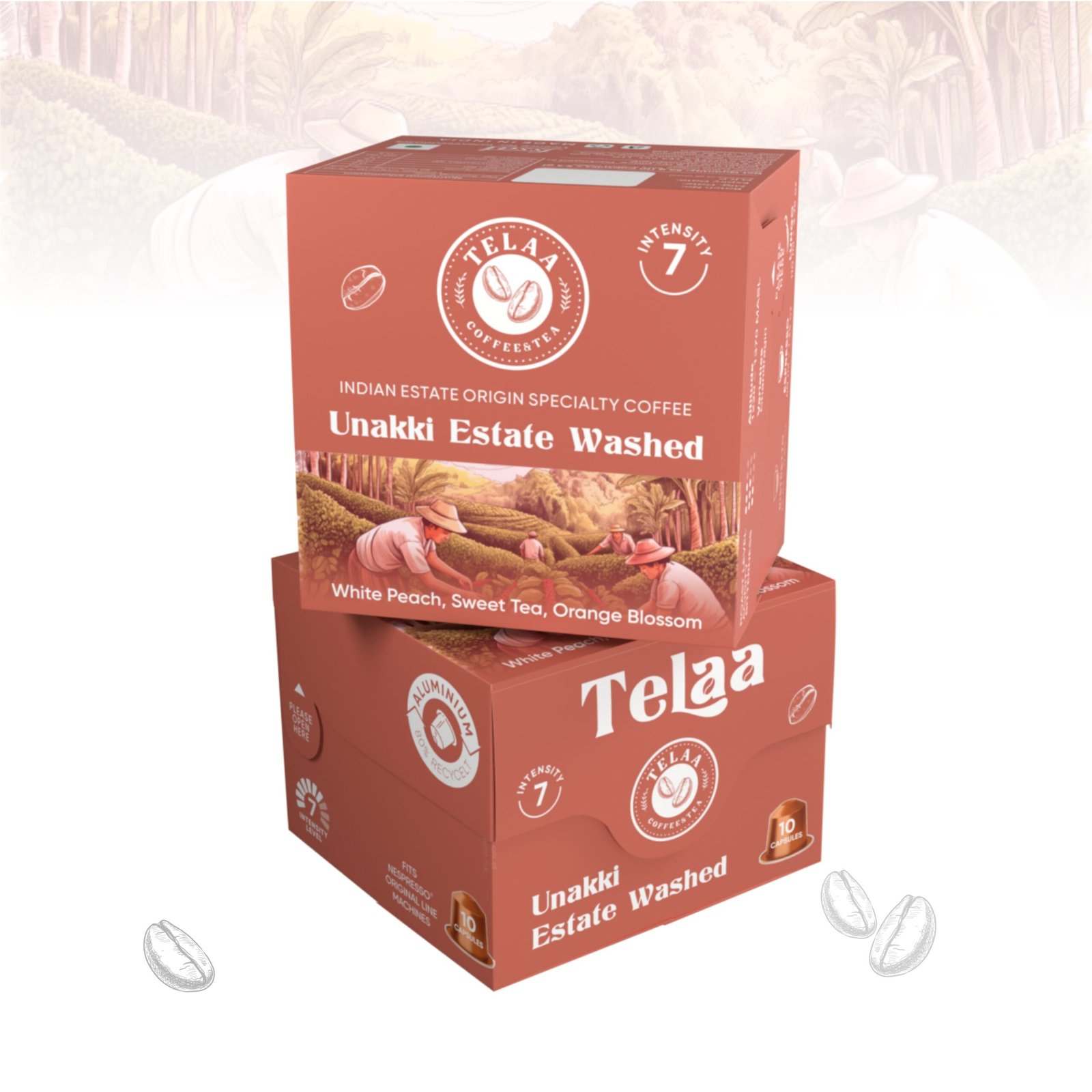 Telaa Unakki Estate Washed Coffee Capsules | Indian Estate Origin Specialty Coffee | Aluminium Nespresso Original Line Compatible Pods - Image 3