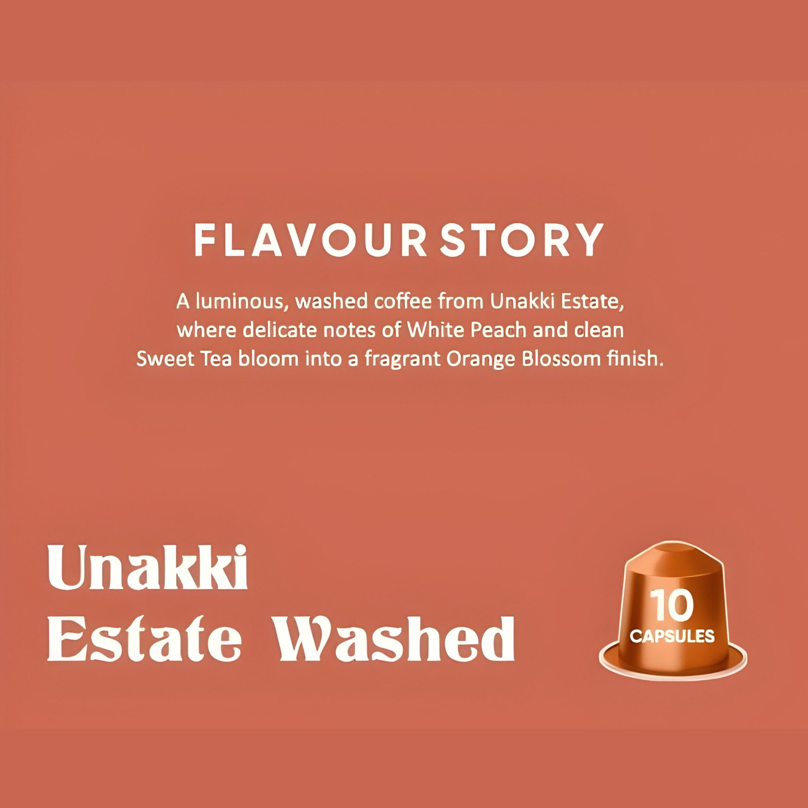 Telaa Unakki Estate Washed Coffee Capsules | Indian Estate Origin Specialty Coffee | Aluminium Nespresso Original Line Compatible Pods - Image 5