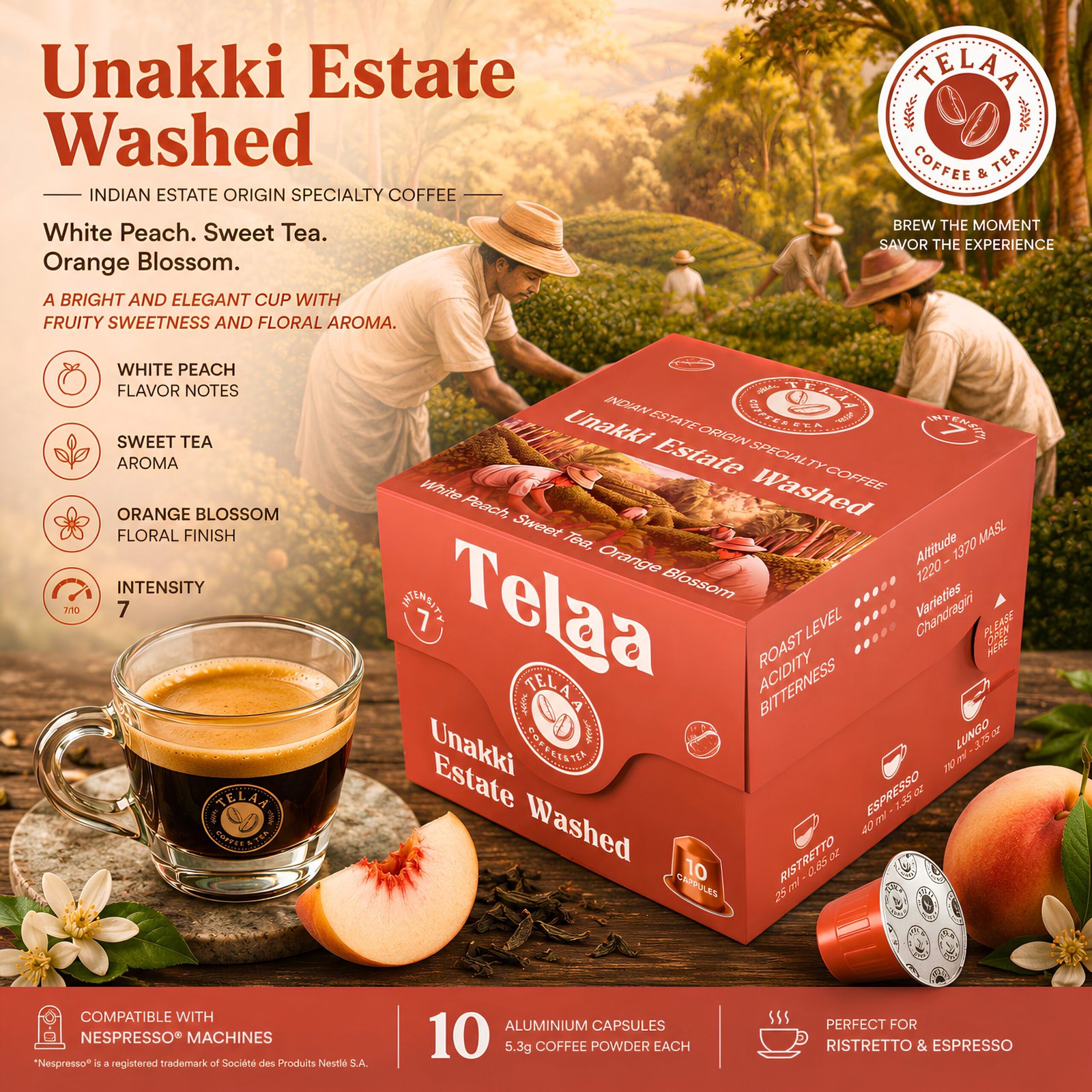 Single Origin Popular 40 Specialty Coffee Capsules Combo Pack | Nespresso® Compatible | 100% Arabica - Image 3